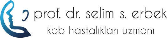 Prof. Dr. Selim S. Erbek